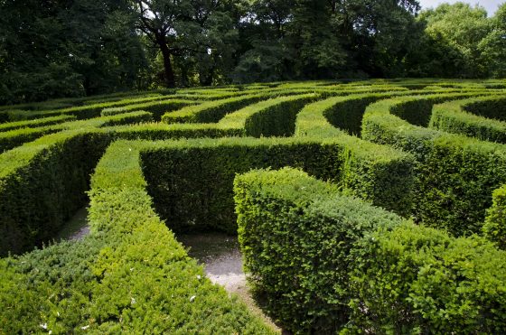 labyrinth