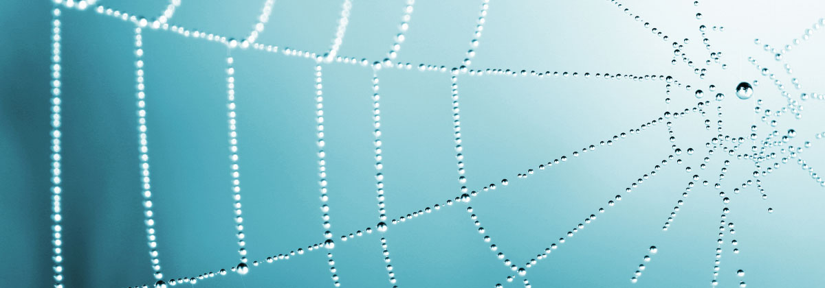 Retention of talent and graduate effectiveness